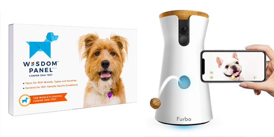 25 Unique Gifts for Dog Lovers (and their Dogs)