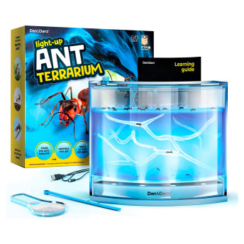 Lightup Ant Farm Terrarium Kit with Nutrient Rich Gel - 25 Cool Gift Ideas for 10-Year-Old Boys That Do Not Suck