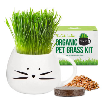 Organic Cat Grass Growing Kit - 17 Fantastic Gifts for Cat Lovers (and their Cats)