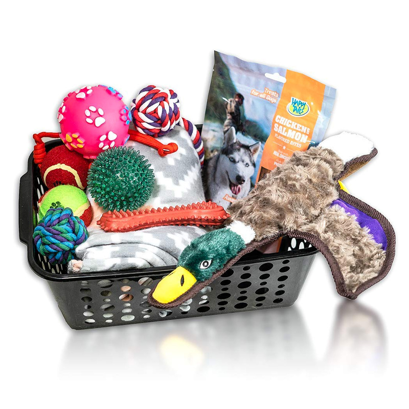 25 Unique Gifts for Dog Lovers (and their Dogs) fancy gifts